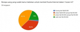 Grafik hasil survei terkait kebutuhan kuota internet | Dokumentasi pribadi