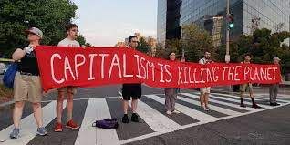 Sumber Foto https://stevetobak.com/2019/09/23/capitalism-and-climate-change-wont-kill-you/capitalism-is-killing-the-planet/