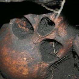 Tengkorak manusia prasejarah di Gayo. Ditemukan di Loyang Ujung Karang , Kebayakan. Takengon. Foto. Koleksi pribadi