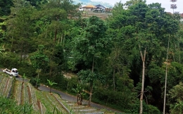 Akses ke Bukit Terasering Panyaweuyan. Foto: Githa Anggrainy