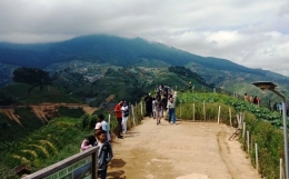 Wisatawan lokal kerap meramaikan Bukit Terasering Panyaweuyan. Foto: Githa Anggrainy
