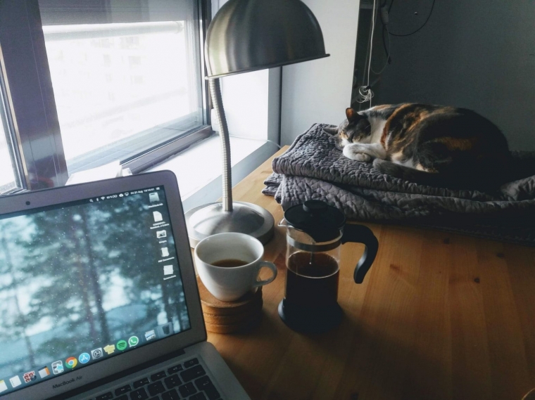 Faktanya, sebagian besar penulis sukses mengikuti rutinitas pagi hari untuk menulis buku mereka (unsplash.com/Aaron Burden)