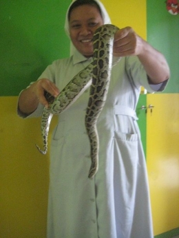 ular phython piaraan yang jinak ( dok pri )