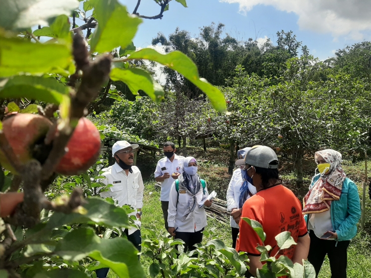 survey lokasi lahan demplot