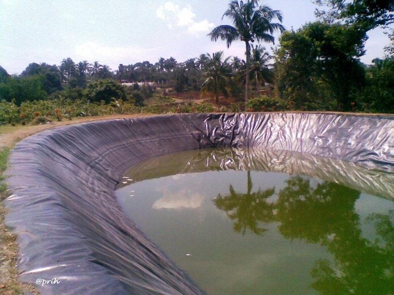 Embung mini pemanen air hujan (Dokpri)
