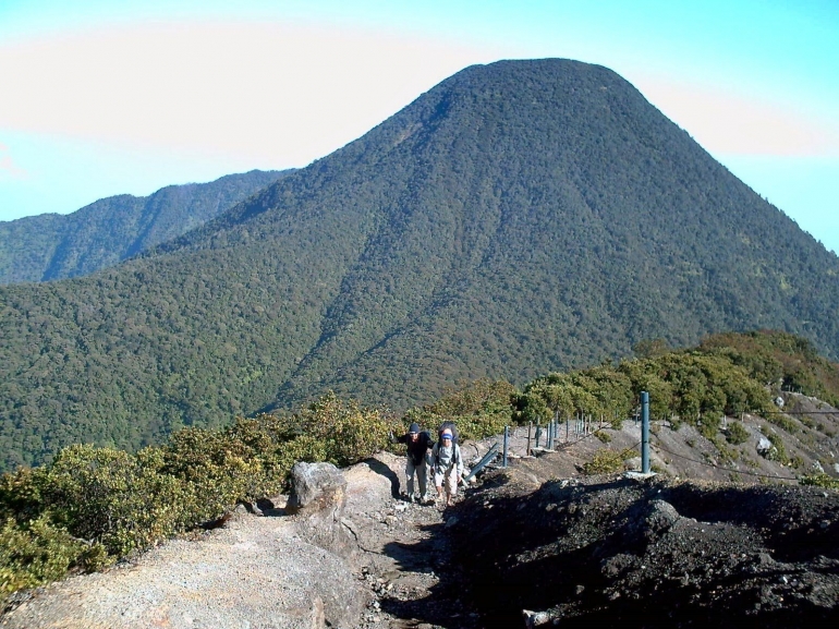 Fakta Gunung Gede Pangrango  (Phinemo.com)