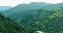 Salah satu kawasan Ekosistem Leuser yang berada di wilayah Aceh Tenggara, Aceh (Foto dokumen pribadi)