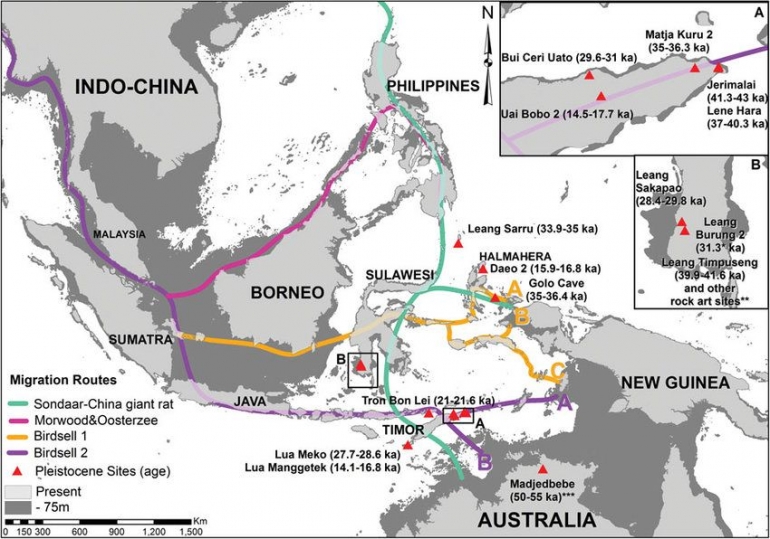 Empat kemungkinan rute migrasi yang diikuti oleh manusia modern awal dari Asia Tenggara ke Australia.Jalur selatan adalah rute Birdsell 1 (oranye)/pariwisata-tourisme-flores.blogspot.com