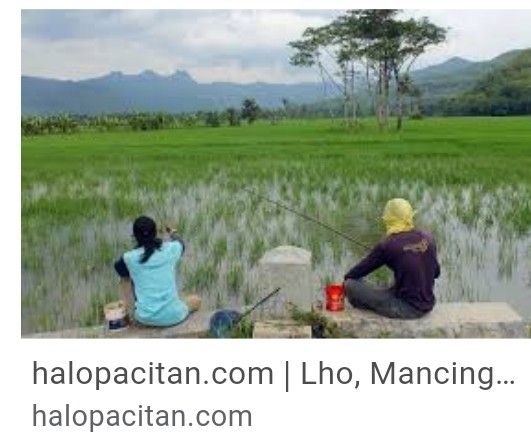 halopacitan.com