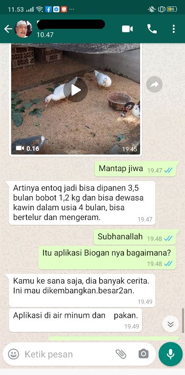 mentok cepat panen (Sumber gambar: dok. pribadi, hasil screenshot)