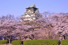 Negeri Sakura Jepang. Sumber: www.zekkeijapan.com