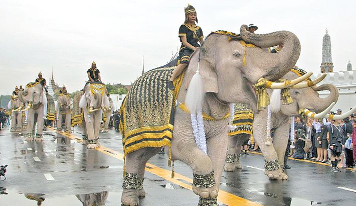 Negara Asean Yang Mendapat Julukan Negara Gajah Putih - Kondisko Rabat