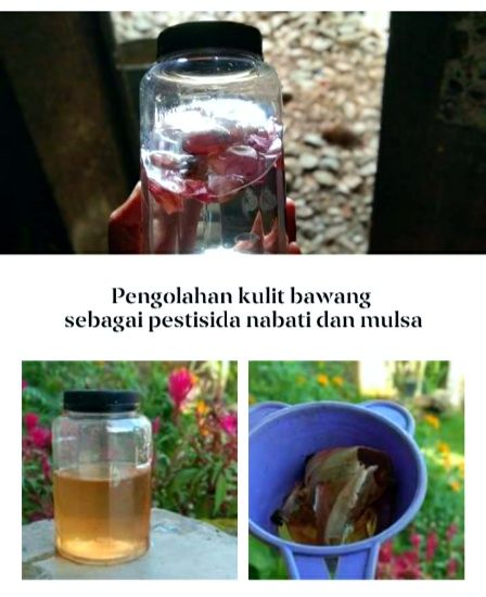 Sumber gambar: dok. pribadi