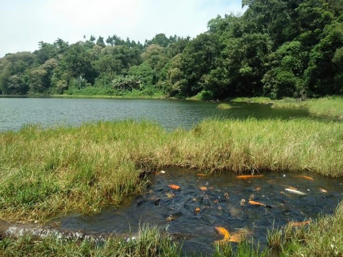 Danau alam yang sangat luas dan dalam (dokpri)