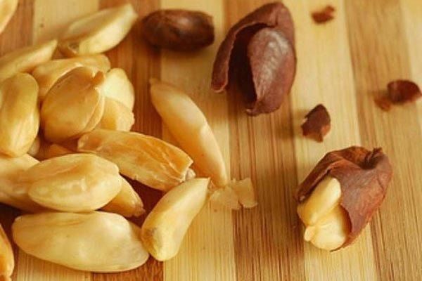 Selain bermanfaat bagi kesehatan kacang kenari meningkatkan ekonomi (Foto: organicpilinuts.com/Michele)