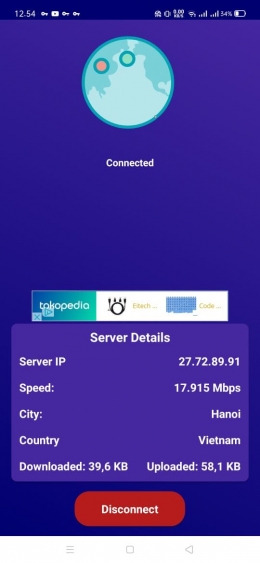 SS VPN terhubung server Vietnam (dokpri)