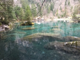 Kejernihan air di Blausee | dokpri