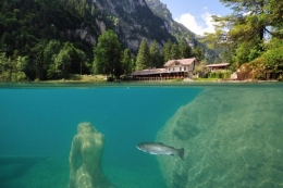 Sculpture Maiden didasar danau, sumber: Blausee.ch 