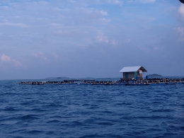 Keramba Jaring Apung Masyarakat Kepulauan Seribu, DKI Jakarta