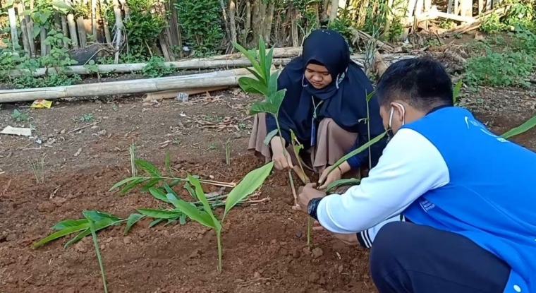 KKN UMKO Apotek Hidup di Dusun IV Trimulyo Kompasiana com KKN UMKO Apotek Hidup di Dusun IV Trimulyo Kompasiana com