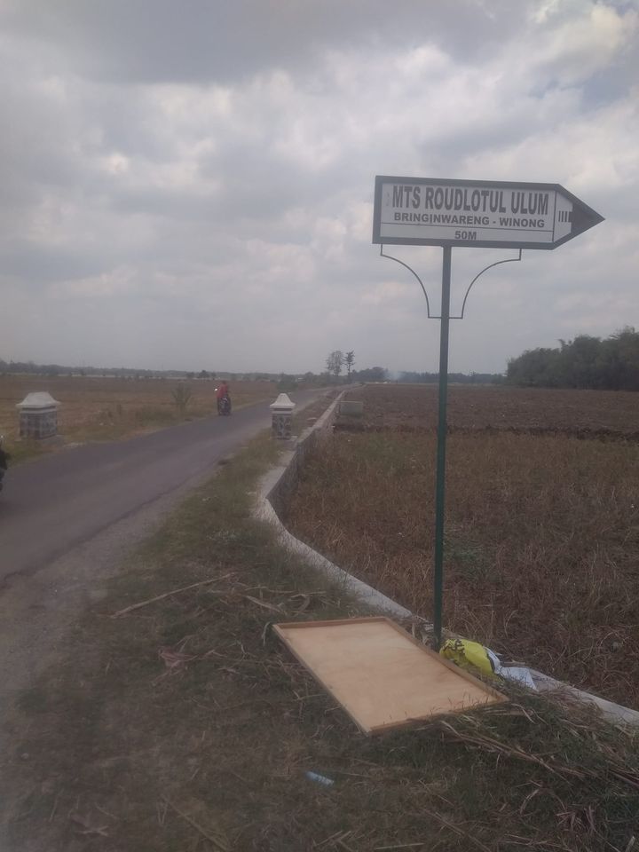 Jalan Talud PU di Bringinwareng ( dokpri)