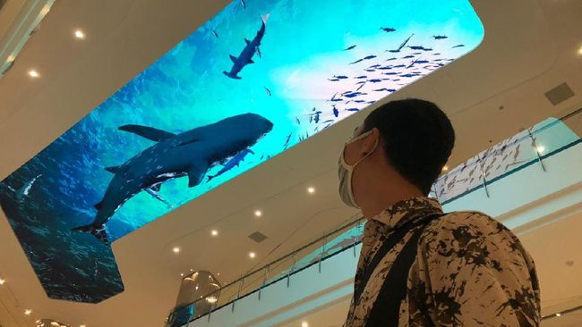 Visualisasi Hiu Mall Tentrem Sumber: CNN Indonesia