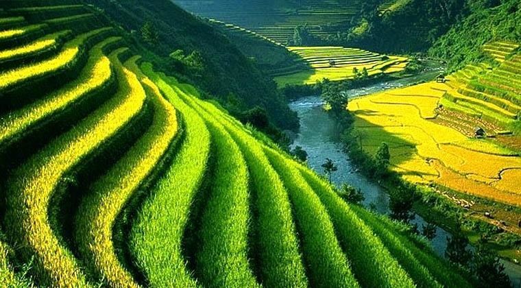 Sistem irigrasi tradisional Subak Bali. Sumber: https://www.kintamani.id/