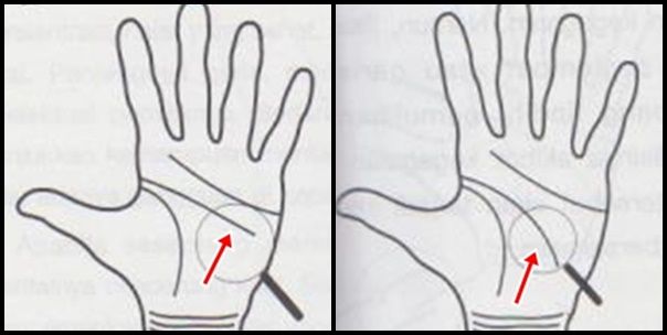 Kiri: garis kepala lurus; kanan: garis kepala melengkung (Sumber: Palmistri oleh Budi Daruputra, 2005)