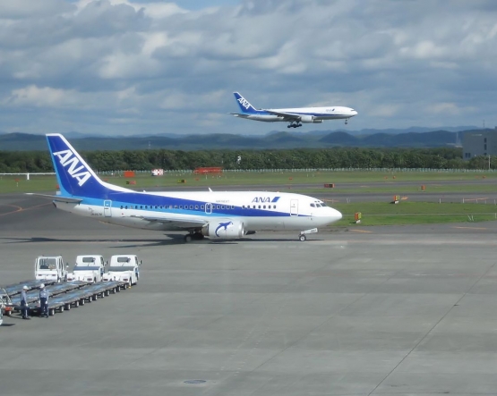 ANA (All Nippon Airways). (Sumber: foto oleh masgatotkaca/wikimedia)