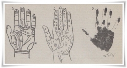 Ilustrasi bentuk garis tangan (Foto: Misteri Masa Depan Anda, 1993)