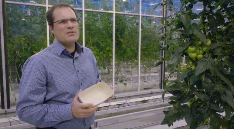 Ir. Edwin Keijsers dari Institut Wageningen Food & Biobased Research yang tangannya memegang packaging 10ri daun tomat (Source: edx.org)