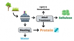 Diagram Pre-Treatment untuk Green Biomass