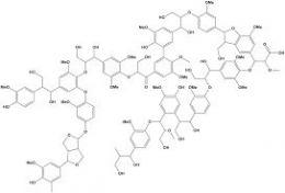 Struktur Lignin (Sumber : bioekonomie-bw.de)