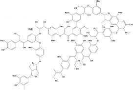 Struktur Lignin (Sumber : bioekonomie-bw.de)