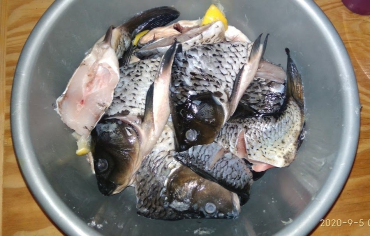 Ikan Mas telah dibersihkan, dipotong-potong sesuai selera, dan dimarinasi dengan garam dan air perasan jeruk nipis (Sumber: Dokumentasi pribadi)