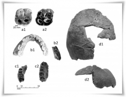 Temuan bagian tubuh manusia (Foto diambil dari makalah Pak Nurhadi)