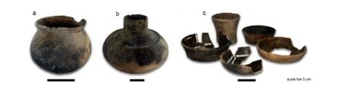 Temuan tembikar dari situs Purwoagung (Foto diambil dari makalah Pak Nurhadi)