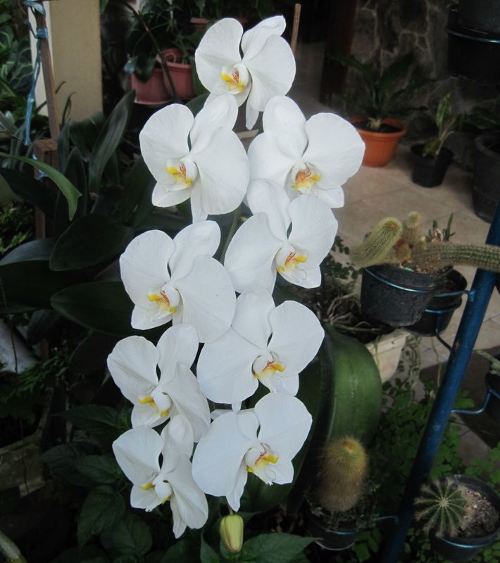 Foto: Dokumentasi Pribadi