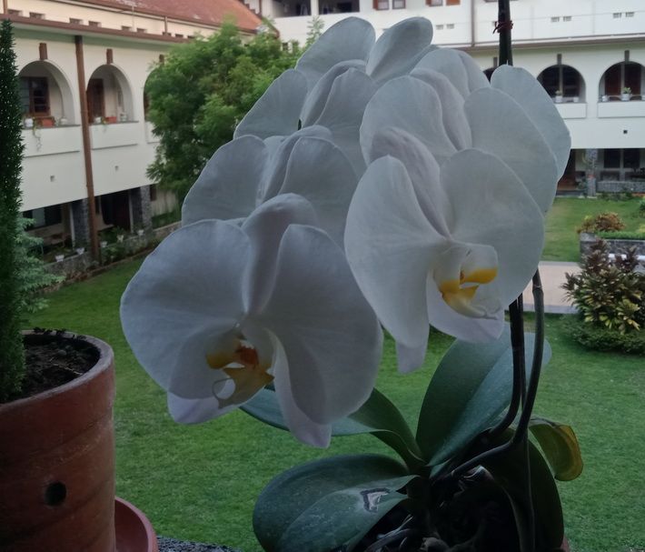 Di kantor. (Foto: Dokumentasi Pribadi)