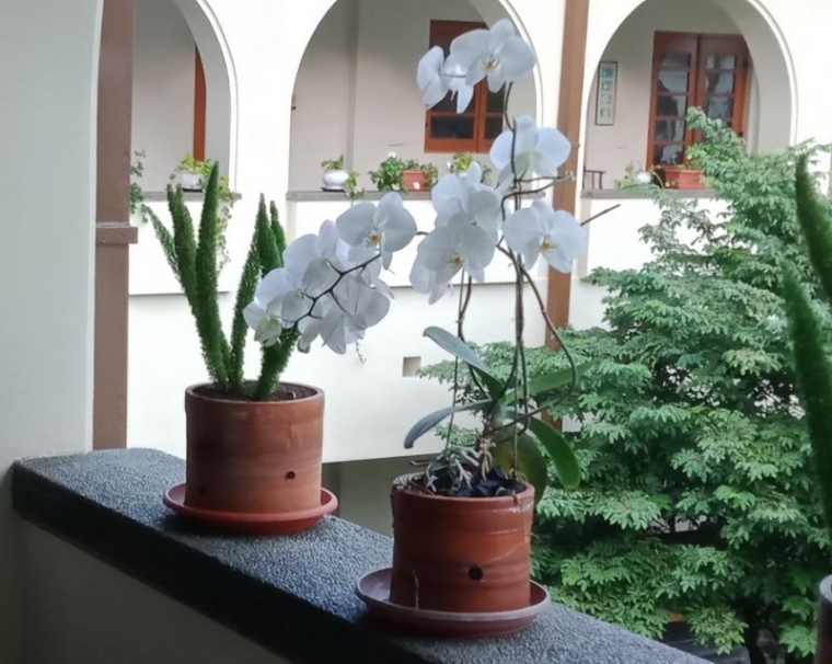 Foto: Dokumentasi Pribadi