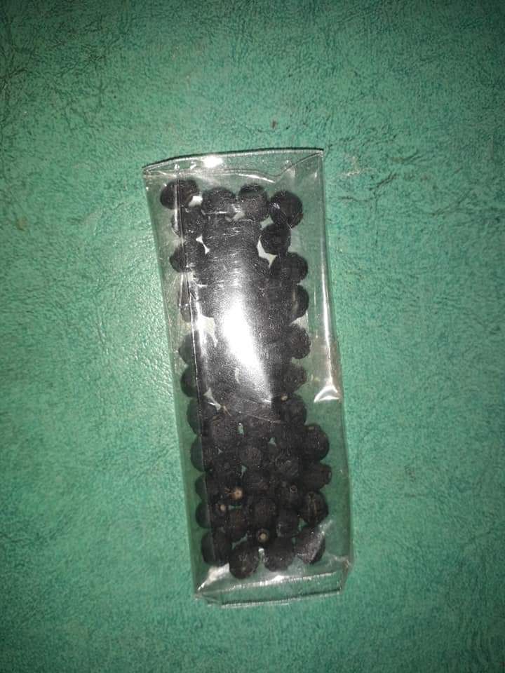 Biji bunga siap kirim teman. Dokpri