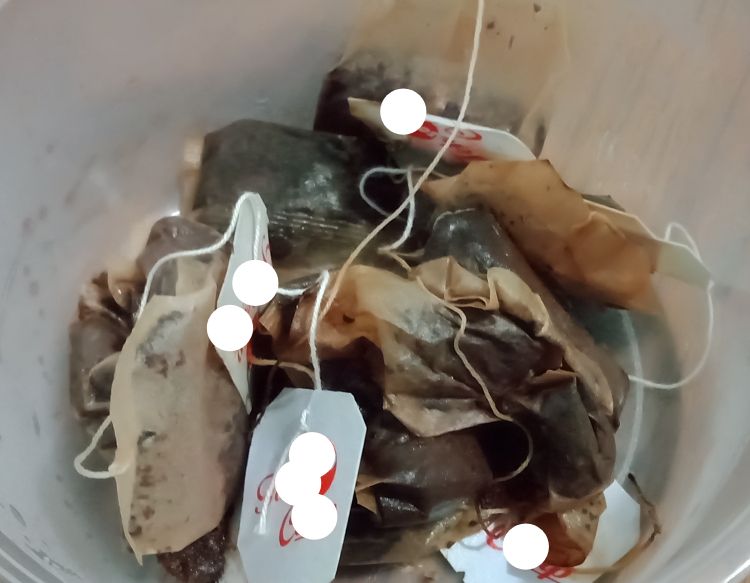 Ampas teh bisa untuk pupuk dan media. (Foto: Dokumentasi Pribadi)