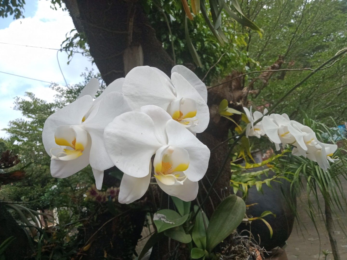 Foto: Dokumentasi Pribadi