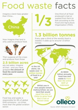 Infografis sampah sisa makanan (Sumber: Olleco)