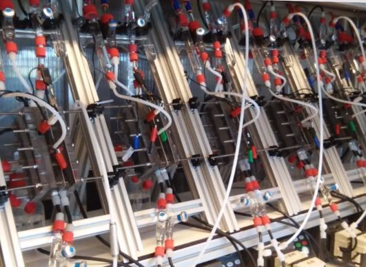 Bio-reaktor berbasis open culture process dengan supply listrik untuk bakteri di Wageningen University (Sumber: edx.org)