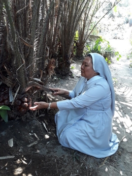 Siap Panen (Dok Pri)