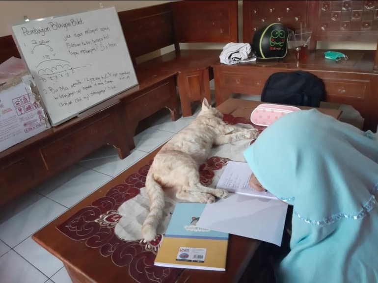 Sembari ditemani kucingnya yang tertidur, siswi ini tetap semangat belajar di rumah