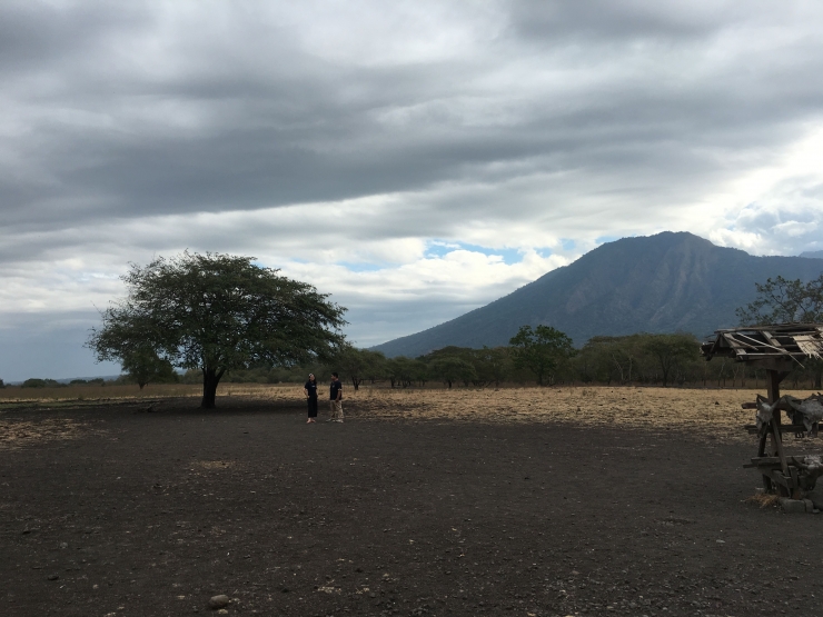 Taman Nasional Baluran | dokpri