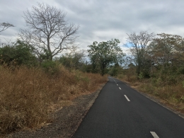 Jalanan yang mulus menuju padang Savana | dokpri