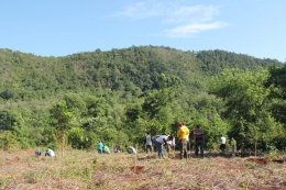Penanaman pohon, rehabilitasi hutan (sumber: Alam Riau)